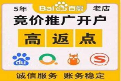 百度优化推广案例：关键词优化与SEO策略